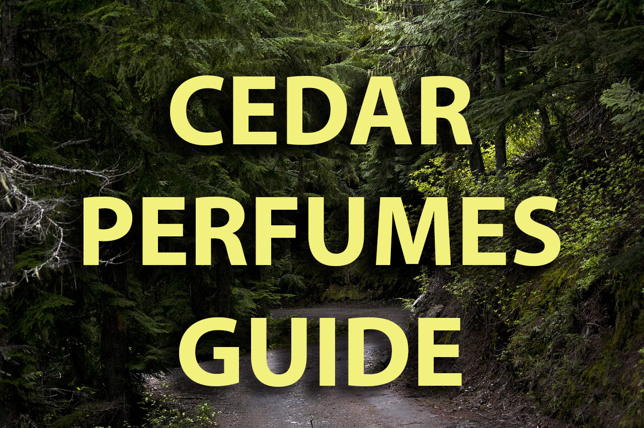 cedar perfumes