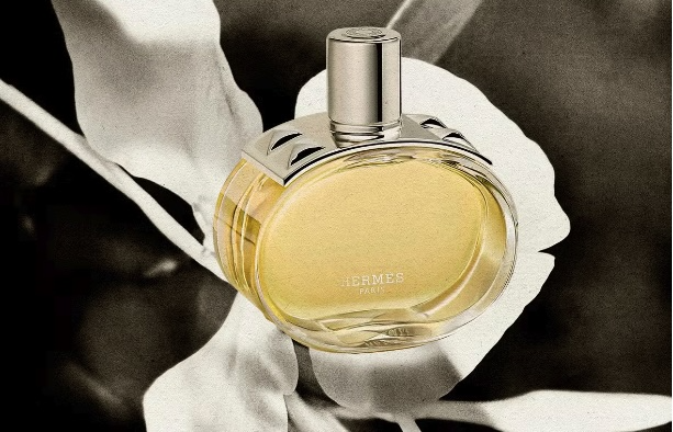 barenia perfume