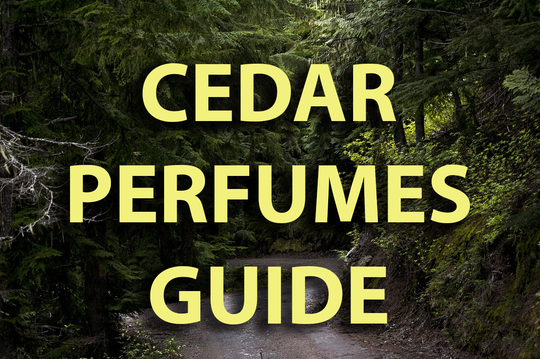 cedar perfumes 2 