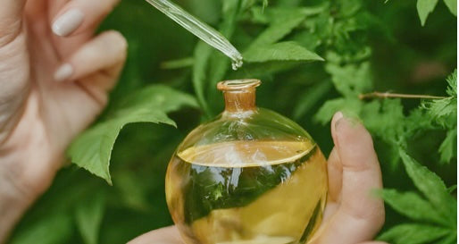 eco friendly perfume feature image
