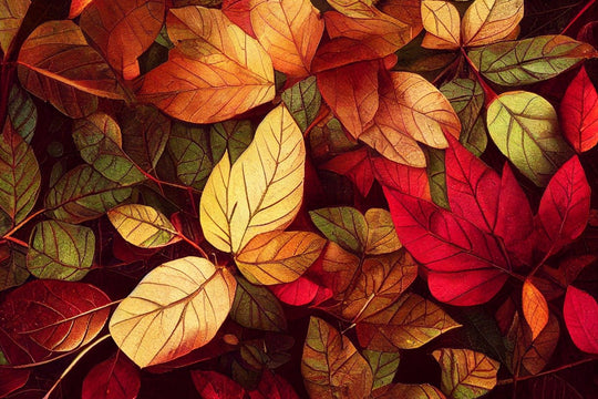 leaves 7452420_1280 