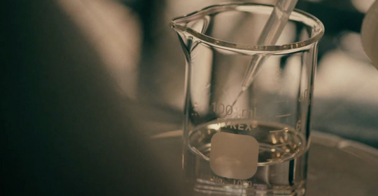 santal 33 review feature image 