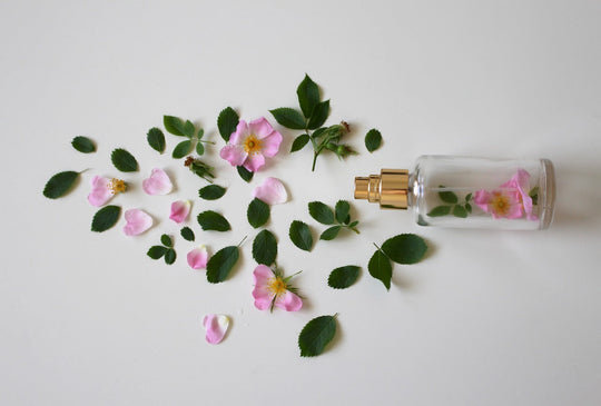 scent of roses 3397281_1280 