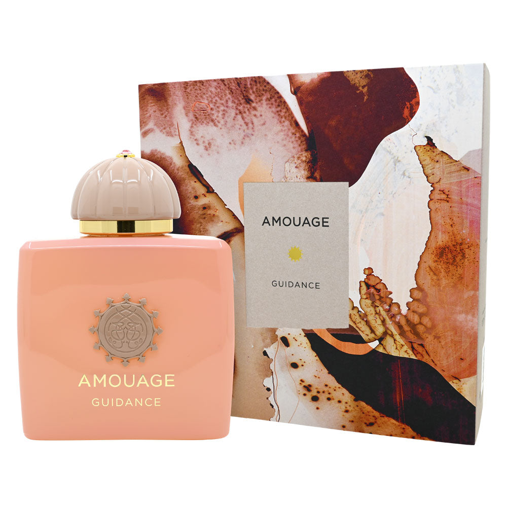 Guidance - product image